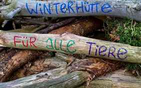 Zeit im Wald in der VAMOS Kinderbetreuung